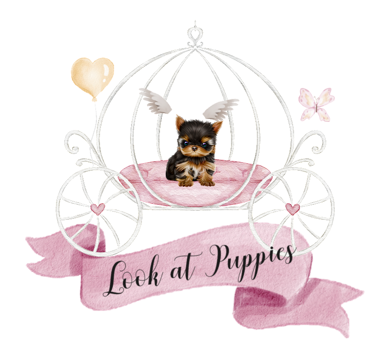See Puppies