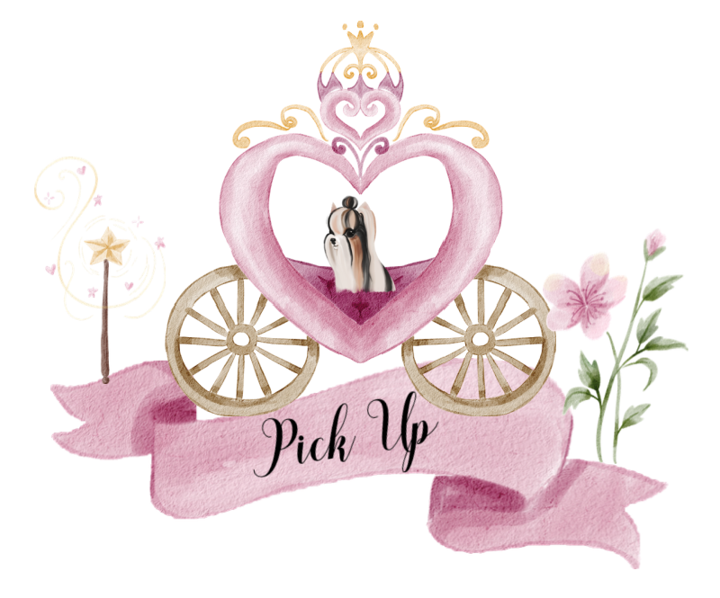 Pick Up