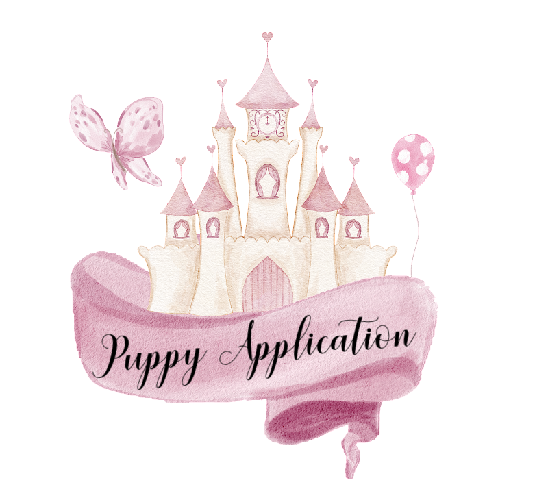 Application