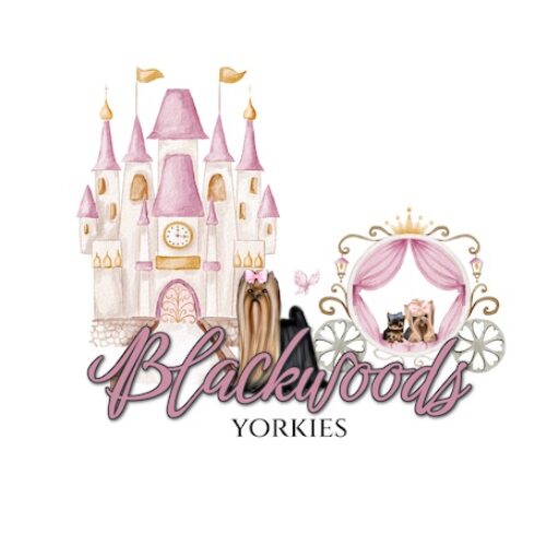 Blackwoods Yorkies Logo